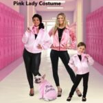 Pink Lady Costume