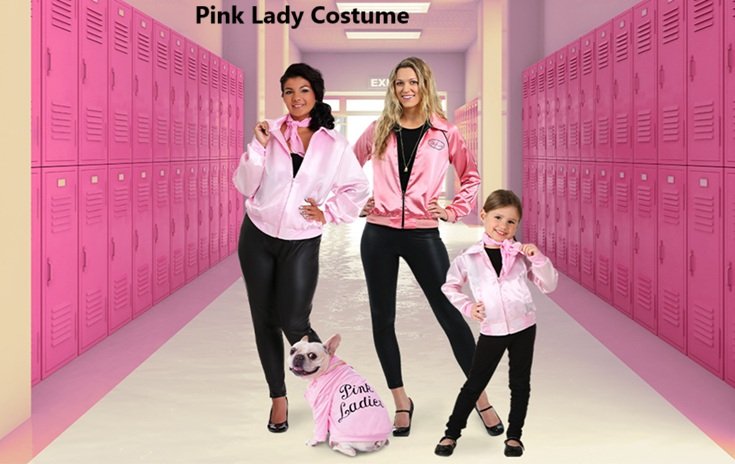 Pink Lady Costume