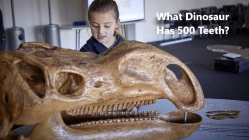 What Dinosaur Has 500 Teeth? A Fascinating Dive into Prehistoric Giants