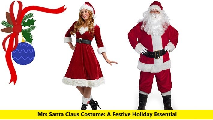 Mrs Santa Claus Costume