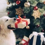 Grinch Dog Costume