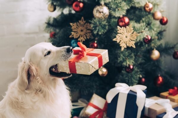 Grinch Dog Costume